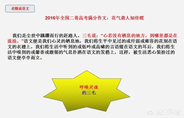 历年满分作文中，好像都有三毛的影子，如何才能把三毛写进作文呢？