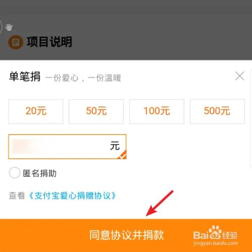 爱心捐赠平台上10元种下希望树项目怎么捐赠