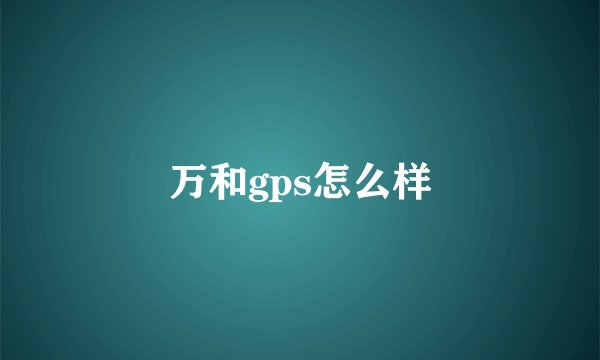 万和gps怎么样