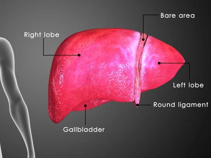 丙肝有什么症状