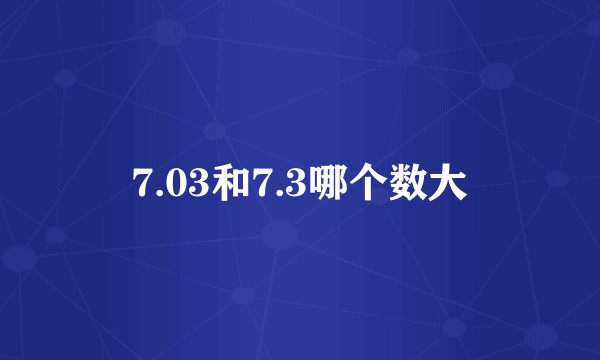 7.03和7.3哪个数大