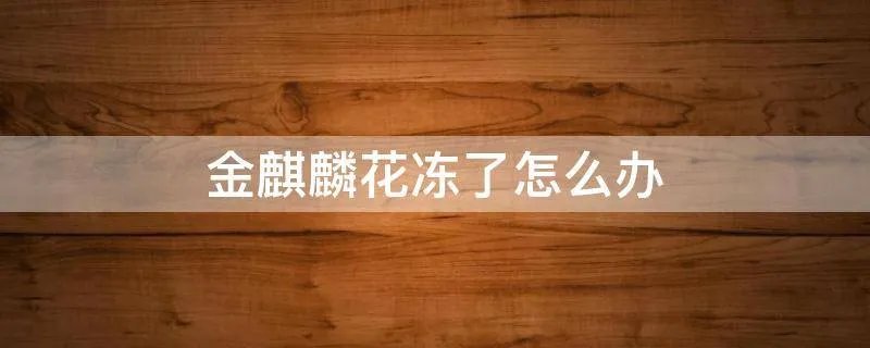 金麒麟花冻了怎么办