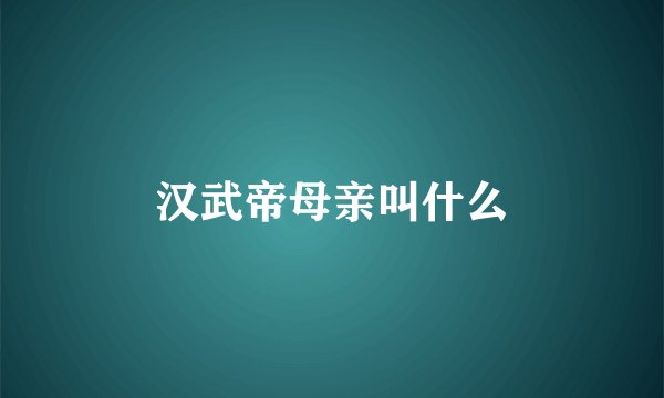 汉武帝母亲叫什么