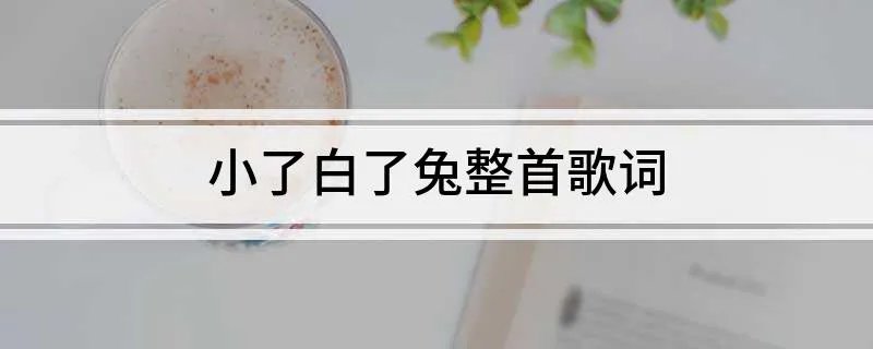 小了白了兔整首歌词