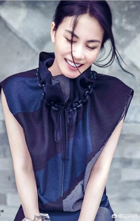 获得吉尼斯记录的大陆明星有哪些?