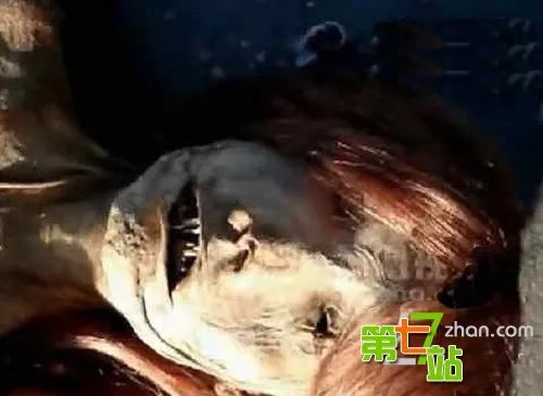 杀手美人鱼的剧情简介