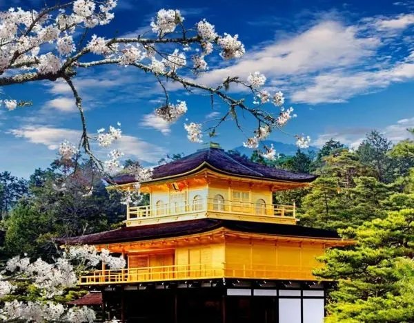 鑫荣懋企业文化是什么有知道的吗?