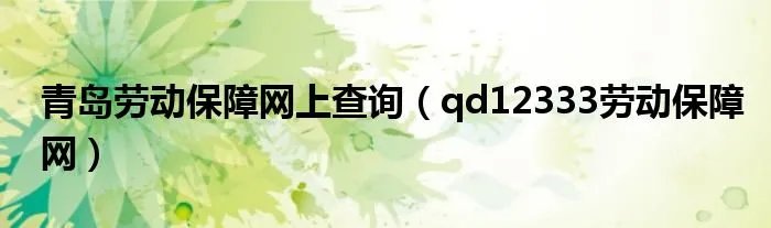 青岛劳动保障网上查询（qd12333劳动保障网）