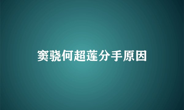 窦骁何超莲分手原因
