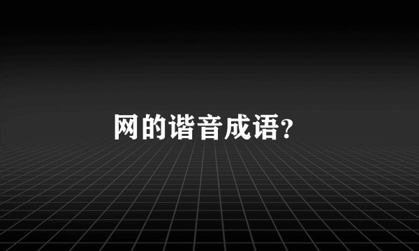 网的谐音成语？