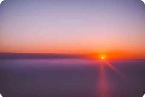 超梦什么性格最好?