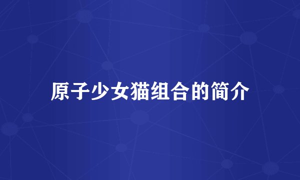 原子少女猫组合的简介