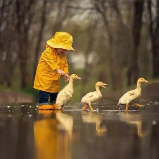 有哪些适合秋天的怀念课件的背景纯音乐？