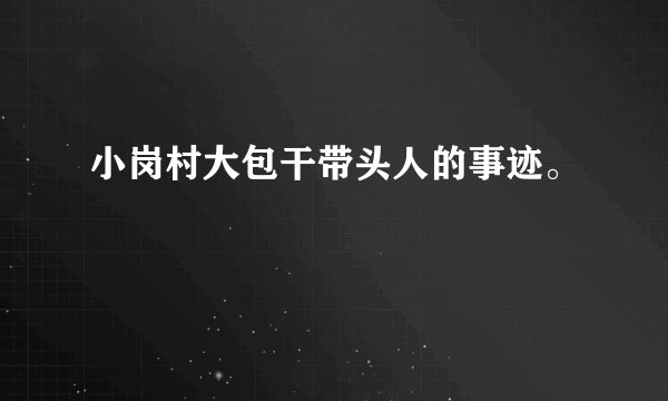 小岗村大包干带头人的事迹。