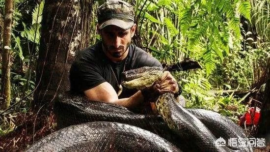 有哪些大蟒蛇类的特效电影值得推荐?