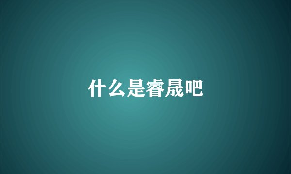 什么是睿晟吧