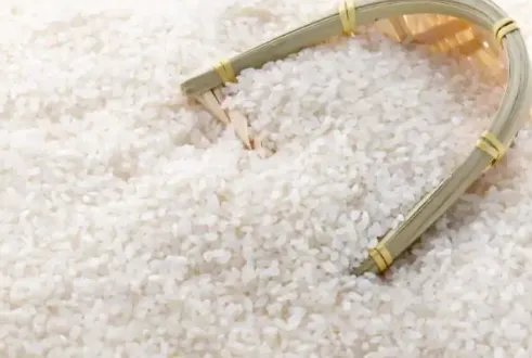 大米可以说是每天必吃的食物，密封好的大米为什么也会长虫？