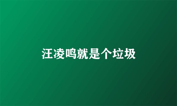 汪凌鸣就是个垃圾