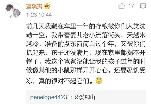 老鼠被五花大绑是怎么回事？