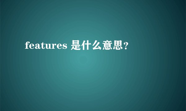 features 是什么意思？