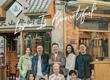 张嘉译刘敏涛主演的电视剧