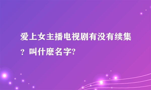 爱上女主播电视剧有没有续集？叫什麽名字?