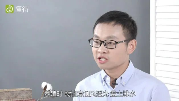 兰花的养殖方法