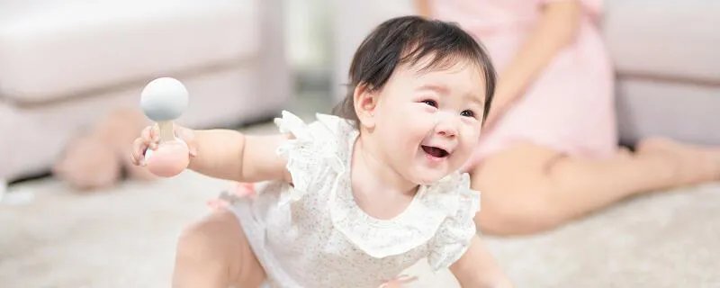 什么是丁克  丁克是什么意思