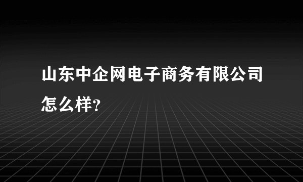 山东中企网电子商务有限公司怎么样？