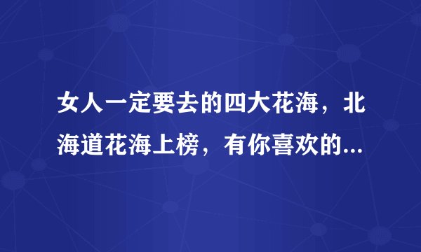 女人一定要去的四大花海，北海道花海上榜，有你喜欢的地方吗？