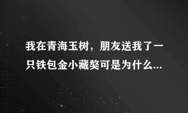 我在青海玉树，朋友送我了一只铁包金小藏獒可是为什么晚上老是呜呜的叫啊，还有怎么不听我的话啊、
