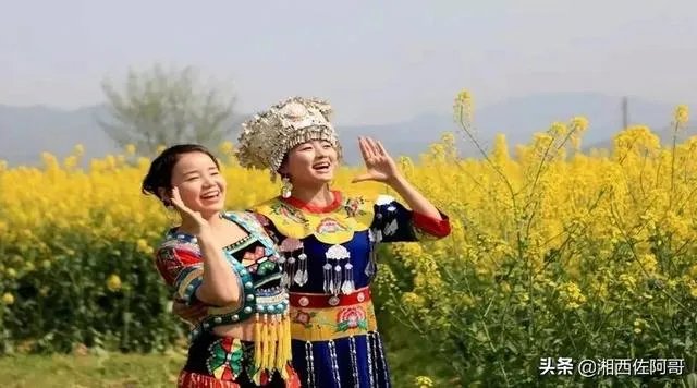 客家山歌全部歌曲来自哪里？