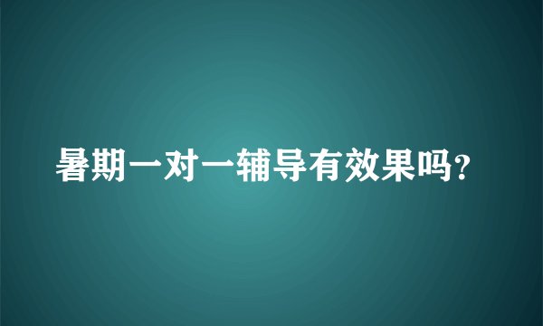 暑期一对一辅导有效果吗？