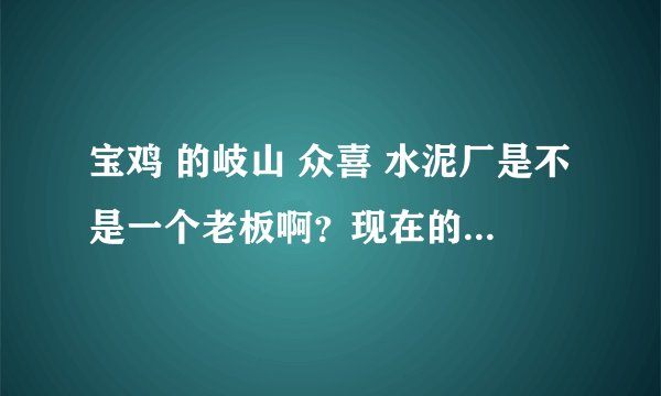 宝鸡 的岐山 众喜 水泥厂是不是一个老板啊？现在的效益怎么样？