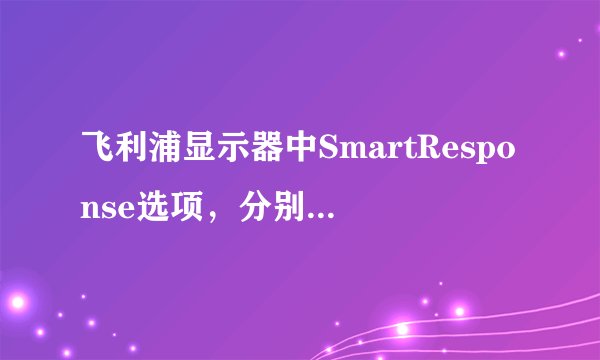 飞利浦显示器中SmartResponse选项，分别有 关闭，快，较快，最快