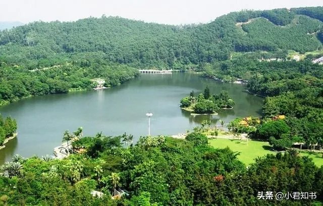 深圳哪些公园比较好玩？有何攻略？