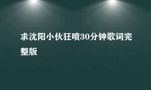 求沈阳小伙狂喷30分钟歌词完整版