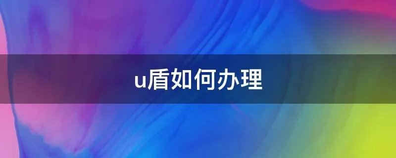 u盾如何办理