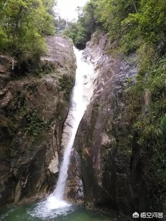 韶关国家森林公园值得去玩吗？