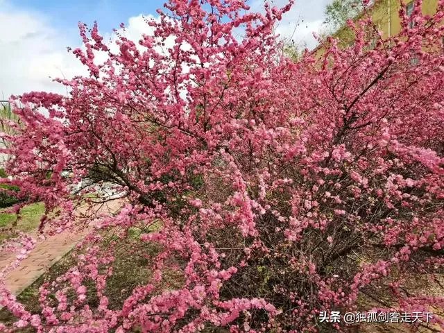 中年夫妻是因为孩子才凑合一生吗？