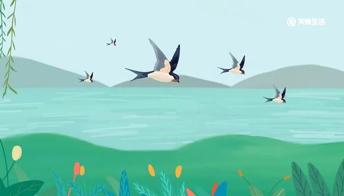 燕子在家里搭窝预示着什么意思