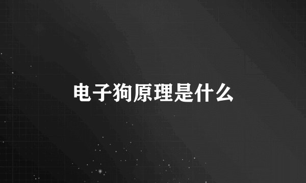 电子狗原理是什么