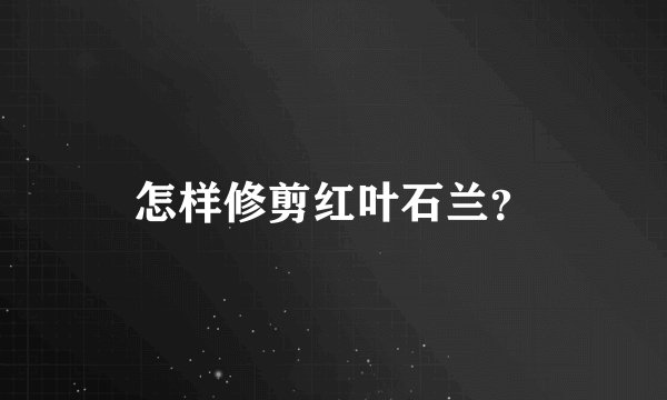 怎样修剪红叶石兰？
