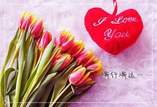 妃嫔这职业（宫廷记事）完整番外全文免费阅读