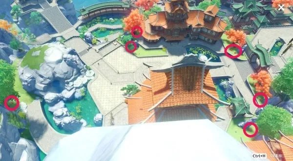 《原神》霓裳花位置及获取方法 3.4霓裳花收集路线