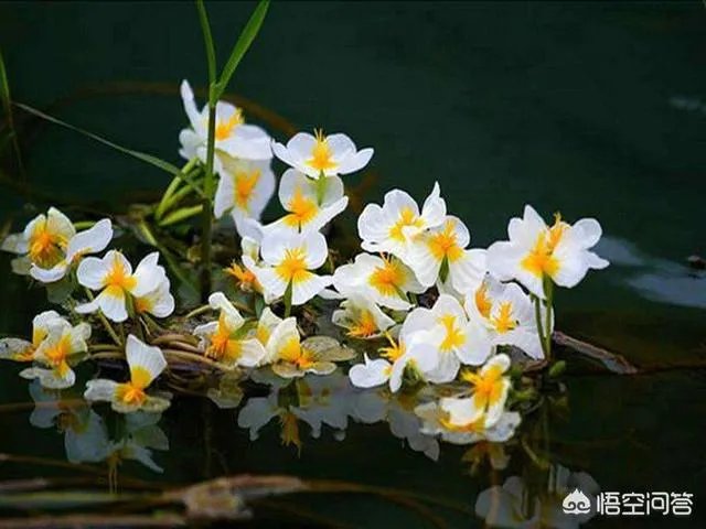 泸沽湖天气怎样？什么时间适合旅游呢？