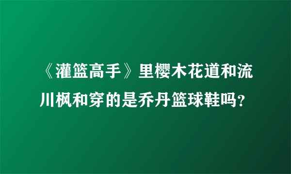 《灌篮高手》里樱木花道和流川枫和穿的是乔丹篮球鞋吗？