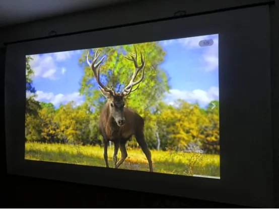 评测评价酷乐视R4风尚怎么样