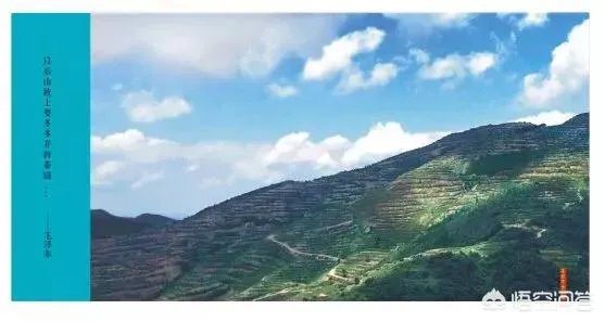 湖南安化黑茶有哪些比较好的品牌？