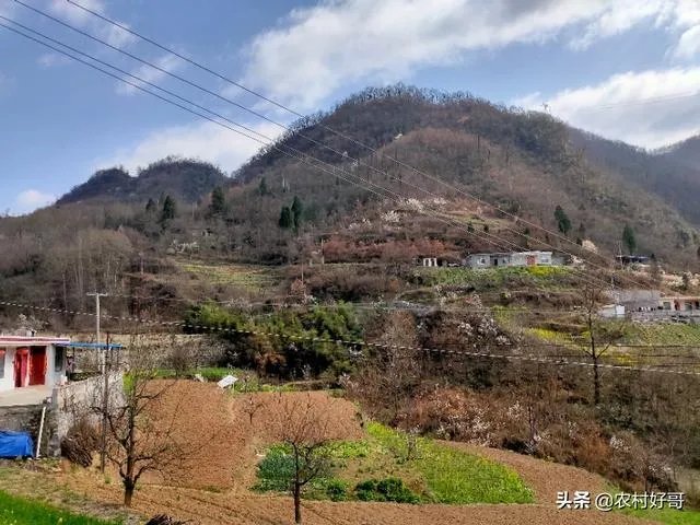 近期可以去老挝旅游吗？老挝疫情怎么样？